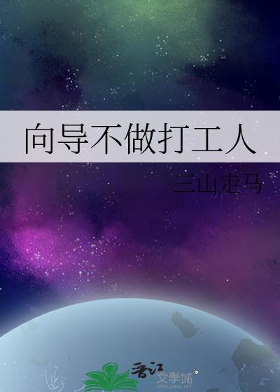 向导不做打工人