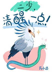 二少，清醒一点！