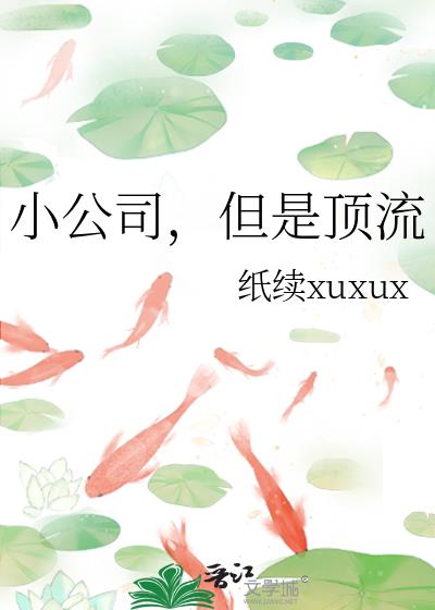 小公司，但是顶流