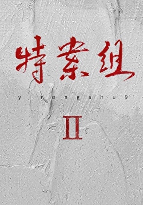 特殊案件调查组Ⅱ