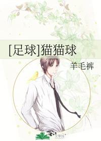 [足球]猫猫球