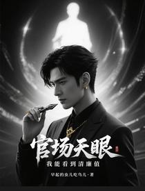 官场天眼：我能看到清廉值