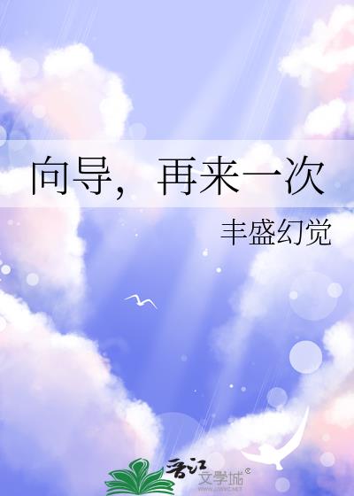 向导，再来一次