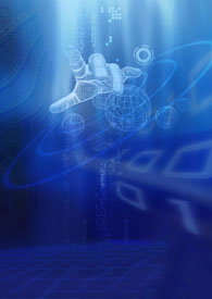 竹林深深深似海