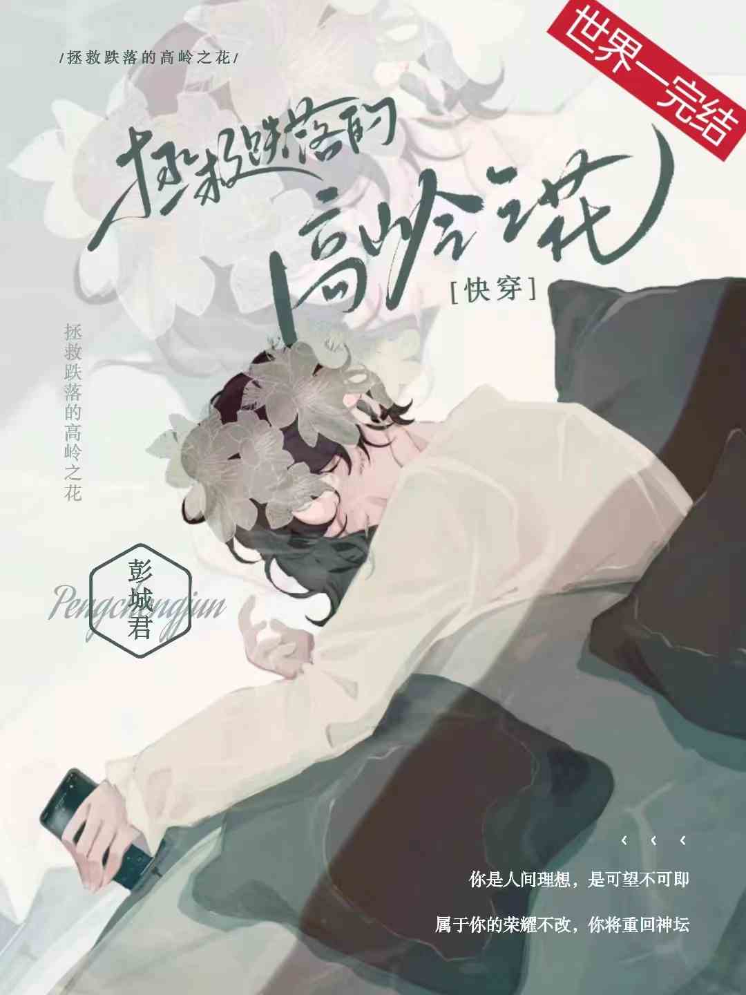 攻一把高岭之花拐回家了[快穿]